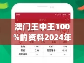 2024年45o78王中王_精选解释落实将深度解析_主页版v392.012