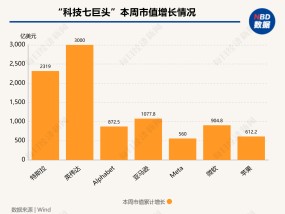 
          
            硅谷成大选赢家！​七巨头市值一周增9000亿美元，马斯克3000亿美元身家稳居全球第一
        