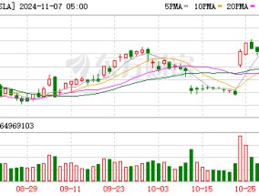 马斯克身家单日猛增209亿美元 特斯拉股价创年内新高