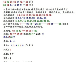 溴彩一肖一码100_作答解释落实的民间信仰_3DM24.02.30