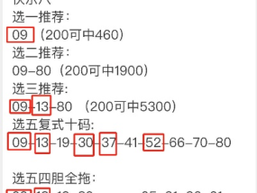 今晚最准确一肖100_详细解答解释落实_主页版v590.160