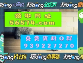 2025一肖一码100准确大全-精选解析与落实的详细结果