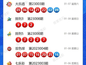 2024新奥今晚开奖记录查询_作答解释落实_主页版v832.471