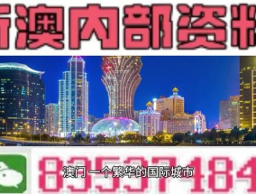 2024新奥资料免费49图库_精彩对决解析_V21.51.68