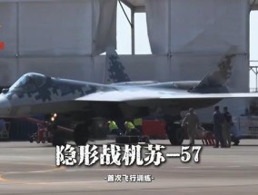 苏-57珠海上空展示落叶飘 矢量推力显神威